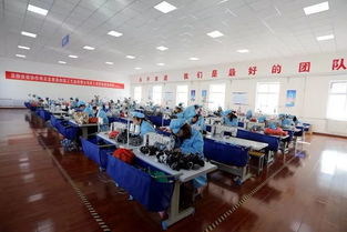 特色产业引领致富路——宜君县与盐城推广服务的融合发展