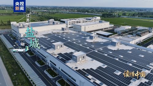 读懂中国 欧洲青年体验中国式现代化丨前进 新能源汽车 盐城推广服务